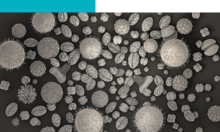 citometría de flujo y su aplicación al diagnóstico de la alergia